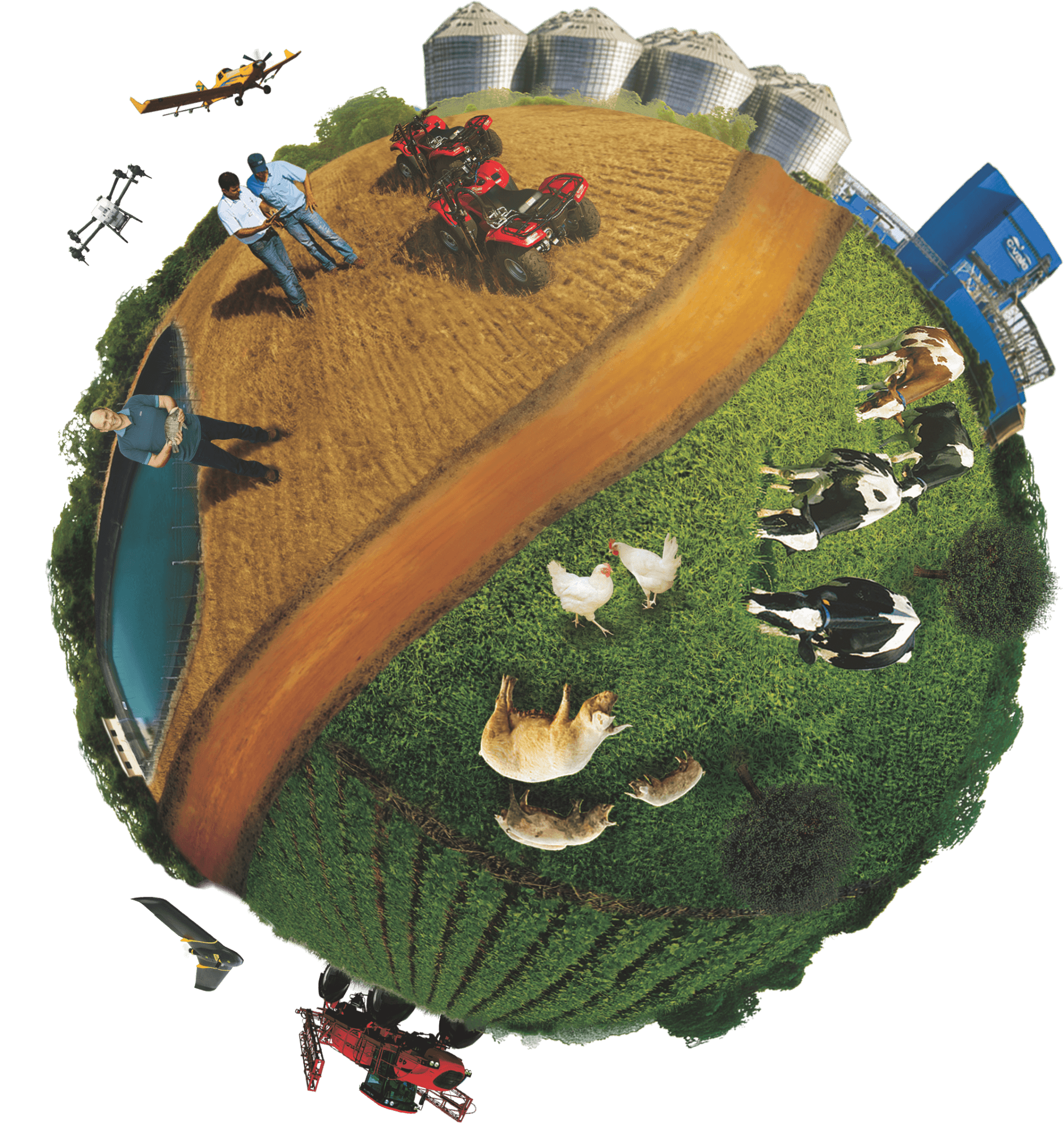 Globo C.Vale - Agricultura Sustentável