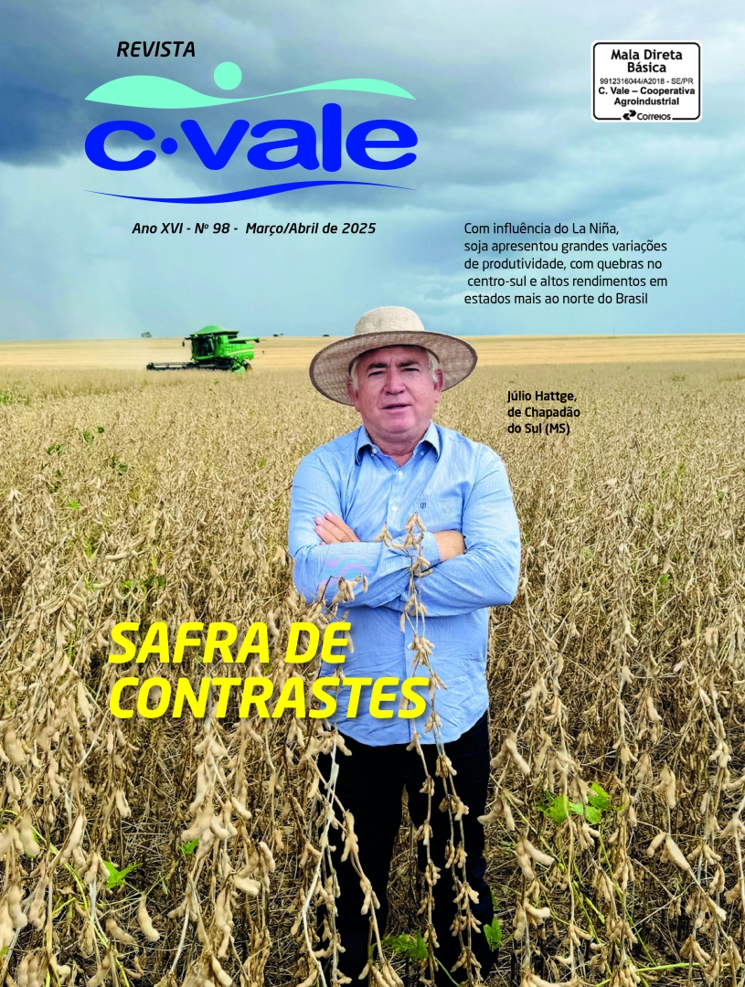 revista