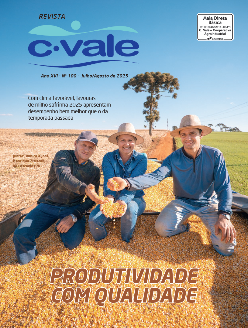 revista