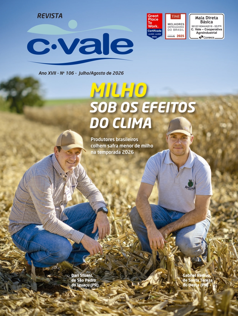 revista